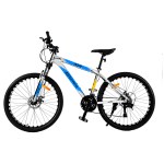 Bicicleta MTB ATR GT - R29, Talle L, 21 Vel, Disco, Aluminio, Azul/Blanca