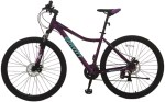 Bicicleta MTB Dabomb Dama R29TM/L Vl/Vd - GRAVITY 