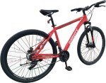 BIC MTB BEMBA R29TM/L RJ GRAVITY