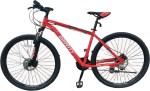 BIC MTB BEMBA R29TM/L RJ GRAVITY