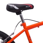 Bicicleta SIAMBRETTA Rodado 20 Freestyle Color Naranja FLUO 10196
