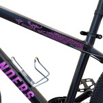 Bicicleta Mountain Bike Casus Rodado 29 Negro Rosa RANDERS