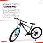 Bicicleta Mountain Bike Casus Rodado 29 Negro Turquesa RANDERS