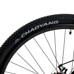 BIC MTB KAWILL BKE29LB R29T20 VEAM RANDERS