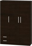Placard 3 Puertas de 130 Cm Pac13 Wengue DIELFE