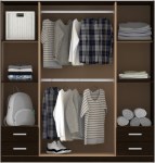 Placard 4 Puertas de 173 Cm Pac170 Wengue DIELFE