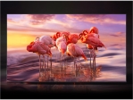 Smart Tv SAMSUNG 55 Pulgadas QLED 4K Ultra HD Q65B