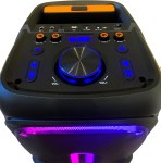 Parlante Inalámbrico Bluetooth Tw1500 80 W KIOTO