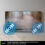 Smart Tv SAMSUNG 65 Pulgadas 4K Ultra HD Q65C