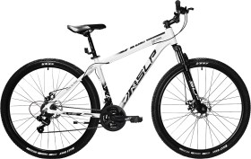 Bic Mtb 10Pro R29t20 17192 Ba6 Ng10 Gi10 