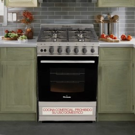 Cocina De 4 Hornallas 56 Cm Inox 5838S