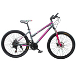 Bicicleta Mountain Bike Rodado 26 Lamborghini Rosa Gris