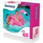 Flamenco Colchoneta Inflable Pileta Flotador Chic