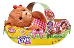 Little Live Pets  The Bear  Electronico