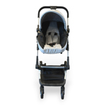 Cochecito Gris Perla 3 en 1 Travel System