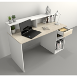 Escritorio Con Repisa 3049 Moderno Oficina Hogar Juvenil Nevado con Blanco