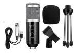 Micrófono Condenser Profesional Unidireccional Bm-200fx Color Negro