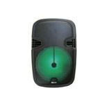 PARLANTE PORTATIL CON BLUETOOTH Y MICROFONO 8 PULGADAS 1000W