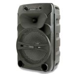 Parlante Portátil Bluetooth Daewoo DW-8R4 VERT Negro 1200W
