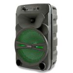 Parlante Portátil Bluetooth Daewoo DW-8R4 VERT Negro 1200W