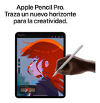 iPad Pro 11 M4 Wifi 256 Gb - Negro Espacial