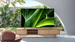 Smart Tv Google 4k Uhd 55 Pulgadas Tcl L55p735 Hdr Bt Dolby