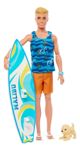 Muñeco Ken Barbie Surf Articulado  Ropa Fashion
