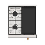 Cocina Profesional Fornax Ristorante 55 cm Pta Acero GN