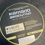 SARTEN DE FUNDICION 20 CM CON ASA