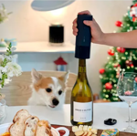 Destapador De Vino Sacacorcho Automatico Electrico Hle0005gl