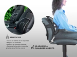 Soporte Respaldo Gadnic Apoyo Lumbar x2