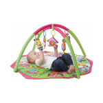 BUGS AND BLOOM ACTIVITY GYM PLAYGRO