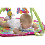 BUGS AND BLOOM ACTIVITY GYM PLAYGRO