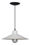 Lampara Colgante Metalica 1 Luz Ø25cm Ferrolux Rennes C-1300