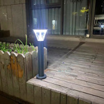 Estaca Led Solar Luz Fria