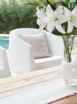 Sillon Ibiza Blanco Simil Rattan