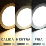 Lampara Led Globo 12w (100w) Luz Fría Candela 6800
