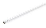 Tubo LED Ecofit E Mains T8 Philips 600mm 8W 765 G 800lm Frio