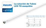 Tubo LED Ecofit E Mains T8 Philips 600mm 8W 765 G 800lm Frio