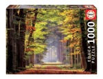 Puzzle 1000 Piezas Rompecabezas Otoño Arboles Paisaje