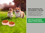 Bowl Comedero Doble Gadnic Para Mascotas Bebedero Perros Gato