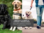 Correa Extensible Gadnic PTC1 De 5m Para Perros De Hasta