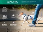 Kit x2 Correa Gadnic Para Perro Extensible 5mts Con Agarre