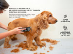 KIT Peluqueria Perro Peladora Canina + Tijeras profesionales