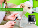 KIT Peluqueria Perro Peladora Canina + Tijeras profesionales