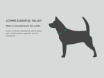 Collar De entrenamiento Gadnic Para Adiestramiento Canino