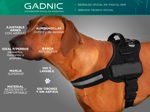 Pretal Arnes Para Perro - Talle M