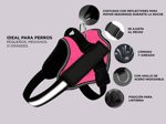 Pretal Arnes Para Perro - Talle M