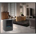 Estufa Garrafera Coppens Cg4glp 5000 Calorías Gas Envasado Color Negro