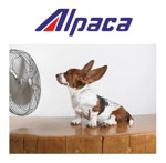 Ventilador Industrial De Pie 30 Pulgadas 190w 2 Aspas